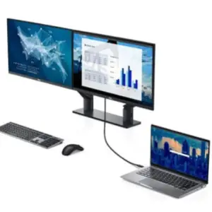 Monitor Dell 60,5 cm (23,8") P2421DC 2560x1440 IPS 5ms HDMI DisplayPort USB-C 65W DP-Out 4xUSB3.0 Pivot  3H sRGB99%